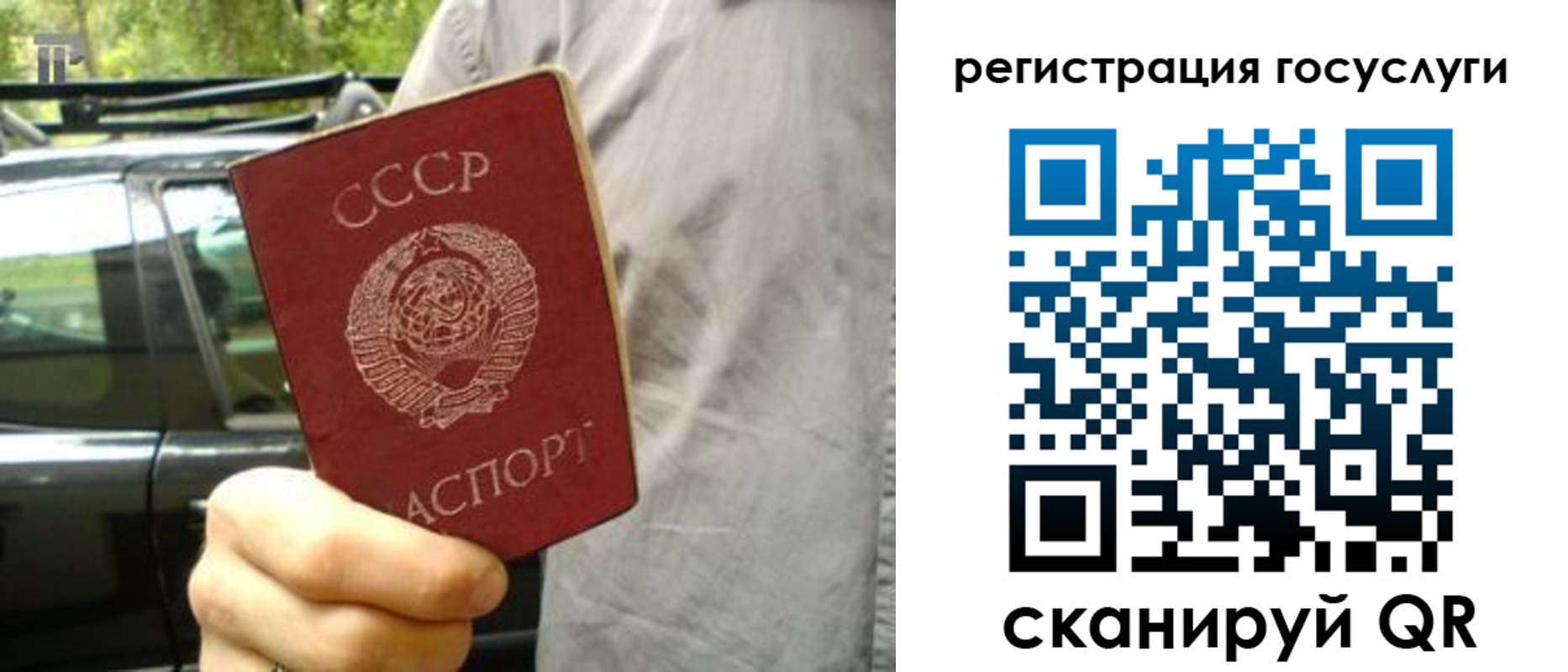 прописка законно в Змеиногорске